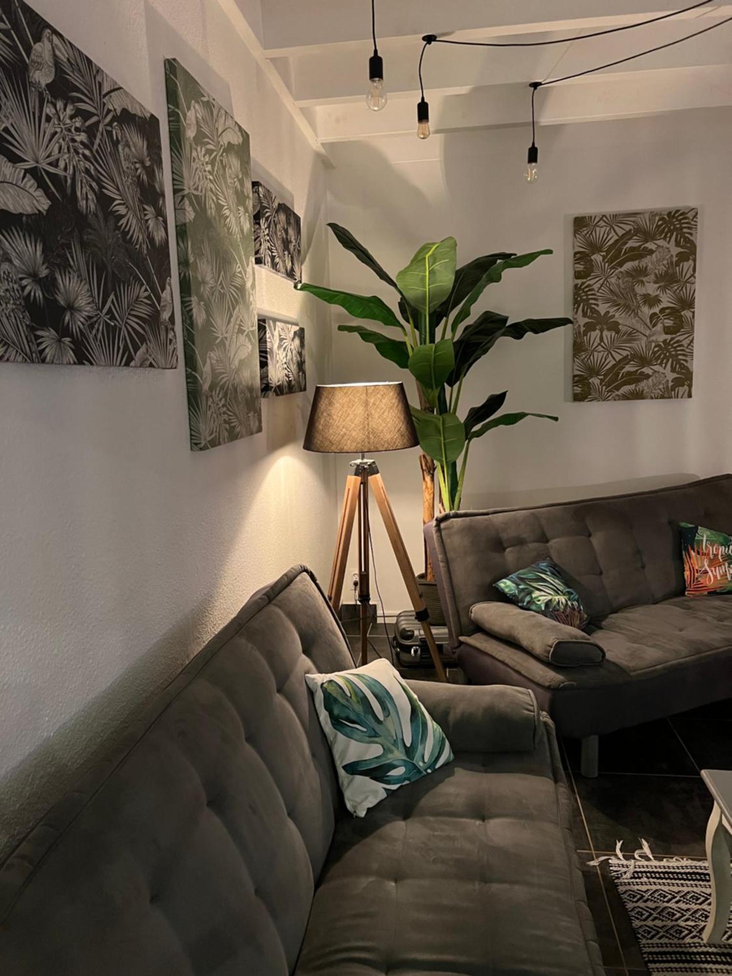 Appartement Spacieux Au Village Du Flamboyant Baie Nettlé Extérieur photo